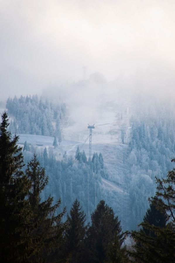 Silver Mountain B12 Poiana Brasov Eksteriør billede