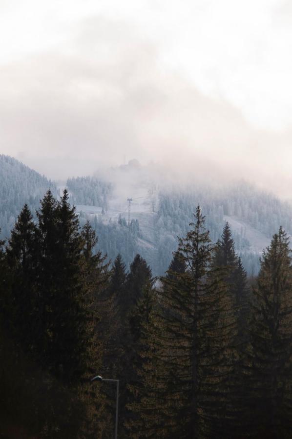 Silver Mountain B12 Poiana Brasov Eksteriør billede